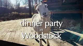 Dinner Party in Woodstock!
