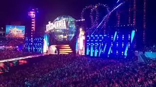 Nikki Bella WrestleMania 33 Entrance (Live)