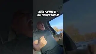 When you find cat hair on your clothes #fyp #fypシ゚ #viral #comedy #funny #ytshorts #shorts #pov #yt