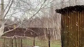 Первомайский снег!!!!