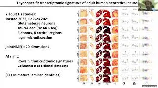 NeMO Analytics: A Compendium of Transcriptomic Data for the Exploration of Neocortical Development
