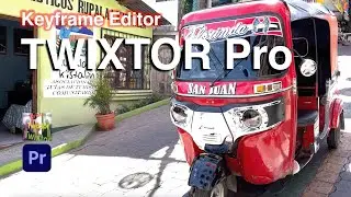 Premiere Pro - Keyframe Editor in Twixtor Pro