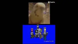 Kuşumu az önce yaptığım videoda görünce