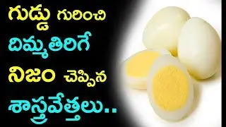 రోజు గుడ్డు తింటున్నారా… ఈ 3 నిజాలు తెలుసుకోకపోతే నష్టపోతారు.. |Amazing Health Benefits Of Eggs