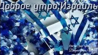 Утро после тревог