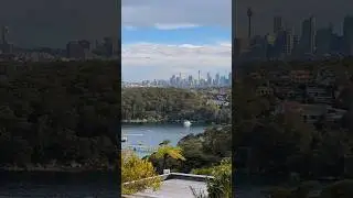 Pixel Pro Zoom #shortvideo
