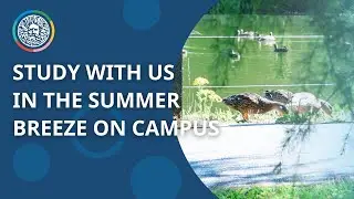 Study with us in the summer on campus