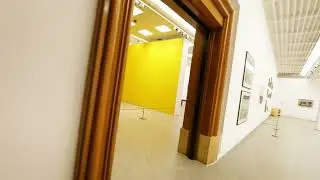 Divided Selves: Exhibition Flythrough