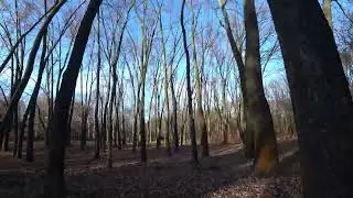 Walk in Krakow Tauron arena 4k