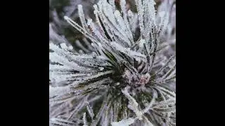 Winter is coming... -  gdmio (me). phonk music.❄️