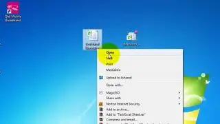 Excel Password Remover  With Simple Macro Application