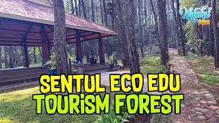 Sentul Eco Edu Tourism Forest, a Collaborative Tourism Forest between Indonesia and South Korea