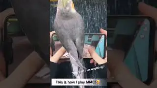 Nowadays This Is How I Play MMC..!