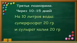 Схема подкормки земляники на весь сезон. Очень подробно и наглядно.