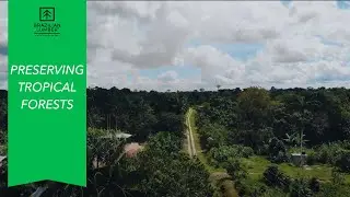 How We're Safeguarding Tropical Forests: Sustainable Harvesting Practices