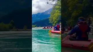 Dart River Adventure #glenorchy #queenstown #advanture #jetboat #canoeing #jungle #river #travel