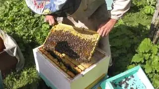 Предстоит зимовка на одном рутовском корпусе