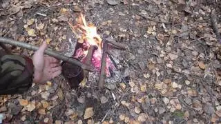 Копорский чай в осеннем лесу