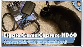ELGATO GAME CAPTURE HD60 | Ausgepackt und angeknabbert! | Lieferumfang und Anschlüsse | Unboxing