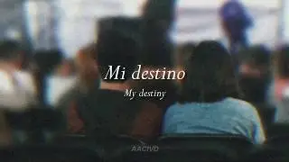 Daniel, me estas matando - Que Casualidad // Sub Español - English