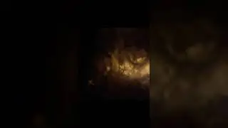 23 de novembro de 2019
