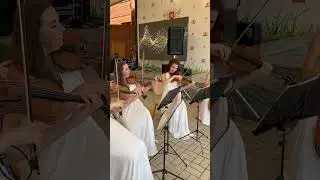 Despacito - string quartet cover.