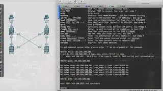 VXLAN: Shutting down the NVE interfaces
