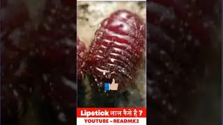 इस कीड़े से बनती है Lipstick 💄 Red #facts