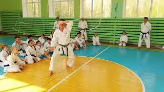 Мейкье kata Meikyo karate Принцип «отказного движения» - ценное открытие биомеханики....