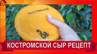 КОСТРОМСКОЙ СЫР: рецепт подробно ☆ Как сделать Костромской сыр в домашних условиях - простой рецепт