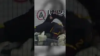 Chicago Wolves #22 Alex Green FIGHT vs Iowa Wild #hockey #chicagowolves #hockeyfights