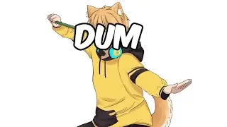 «IDV Stream» Doggo do Ranks also copycat afterwards!