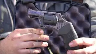 Charter Arm's 38 Revolver