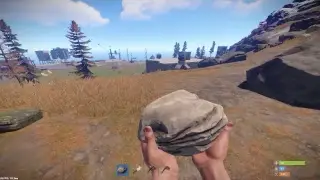 RUST