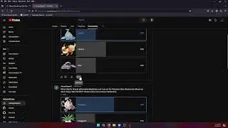 Flareon Randomizer Solo Run Race (with @JohnnyPlays911 )