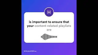 Exploring the Power of Content   Related Playlists A SEO hobby Expert