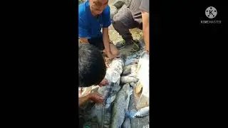 Fishing at IRANG(Tuilang) River||在河里钓鱼