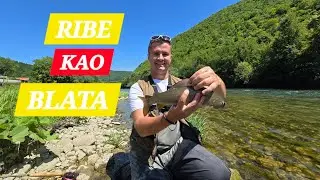 Ribe ko u priči! Pecanje PASTRMKE i LIPLJENA! Luda akcija!