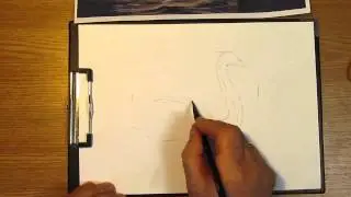 Как рисовать лебедя на воде. Часть 1. Урок 40