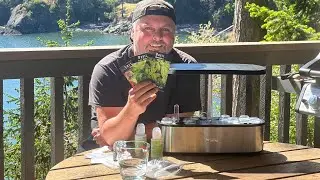 LetPot Hydroponic Growing System