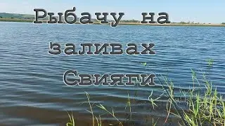 Заливы Свияги в июне 2024г.