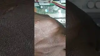 Understand your computer part 2: How to replace desktop RAM. #shorts #computerrepair #tech