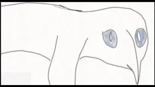 Lynn Test Animation | Sketched BAD