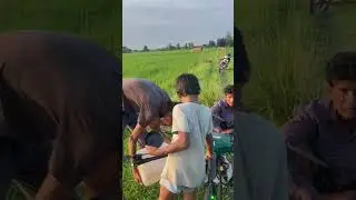 Agriculture drone fly with maps set #ShahTutorial