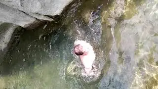 Мирный Анастасиевка.
