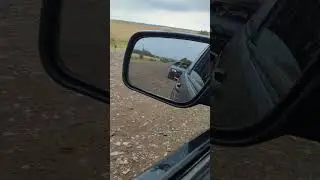 ПРОБЛЕМА ЛАДЫ (В отсутствие лады) #лада #автоваз #спутник #самара