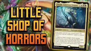 Tayam's Little Shop of Horrors! | Budget EDH Deck Tech | MTG