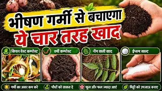 These four liquid fertilizers will provide relief from the scorching heat. Stunted plant growth w...