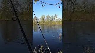 ЖЕРЕХ атаковал НАКОРОТКЕ