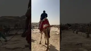 Camel ride 